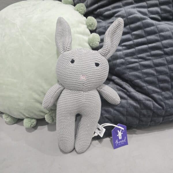 The Grey Bunny