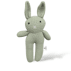 The Sage Bunny