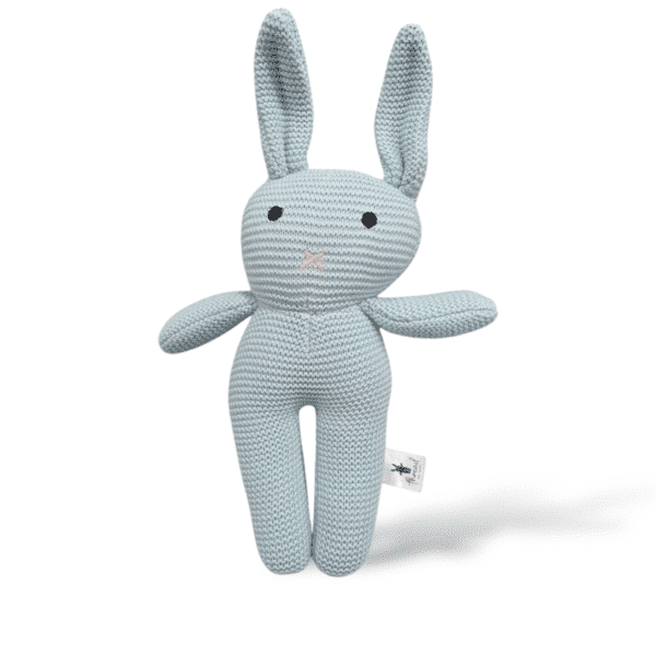 The Blue Bunny
