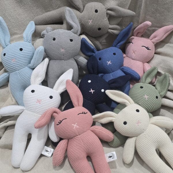 The Grey Bunny