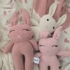 The Blush Bunny