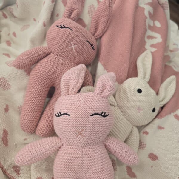 The Pink Bunny