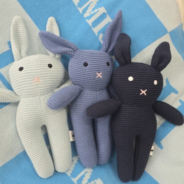 The Navy Bunny