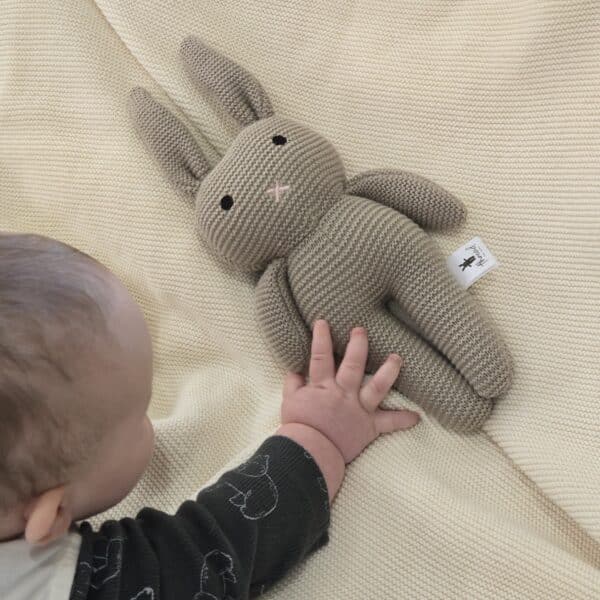 The Beige Bunny