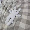 The White Bunny