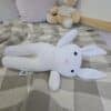 The White Bunny