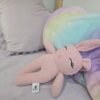 The Pink Bunny