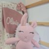 The Pink Bunny