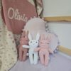 The Pink Bunny