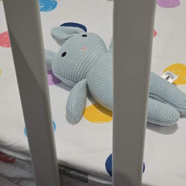 The Blue Bunny