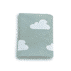 Premmie Blanket – Sage Cloud