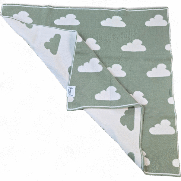 Preemie Blanket - Sage Cloud