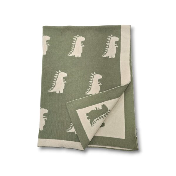 The Dinosaur Blanket The Dinosaur Blanket