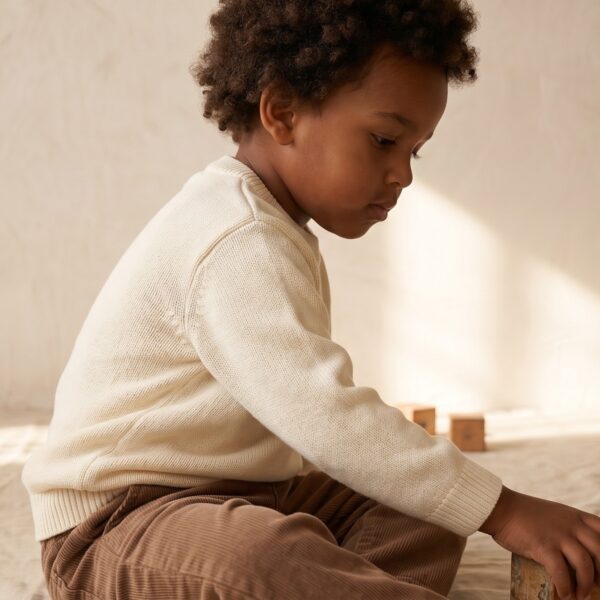 The Plain Knit Jumper The Plain Knit Jumper
