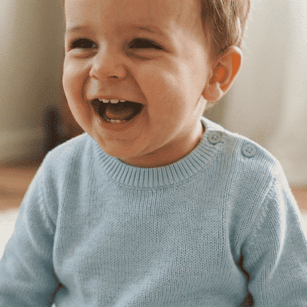 The Plain Knit Jumper The Plain Knit Jumper